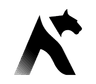 Aslynx logo